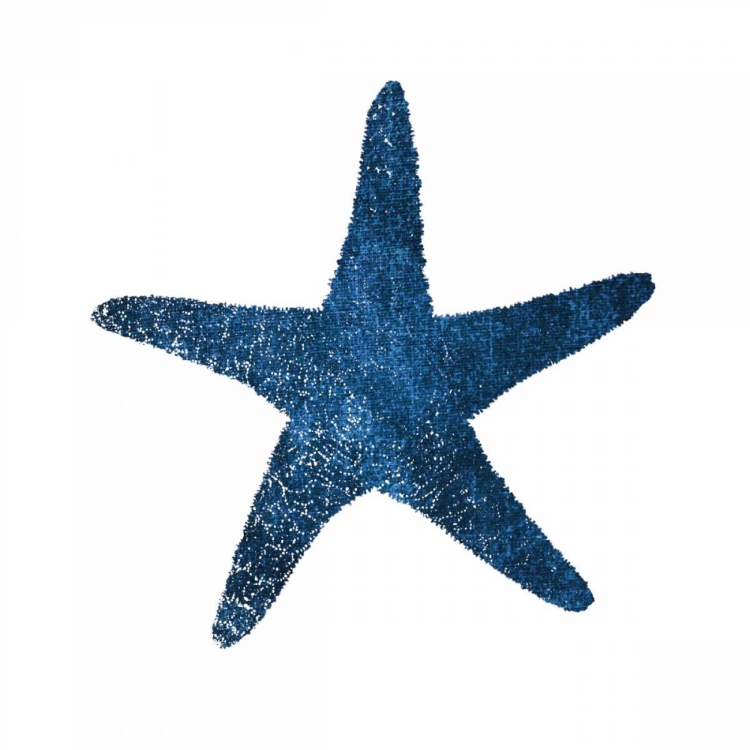 Picture of NAVY STARFISH