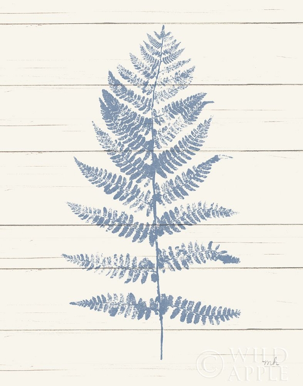 Picture of FERN PRINT II BLUE CROP