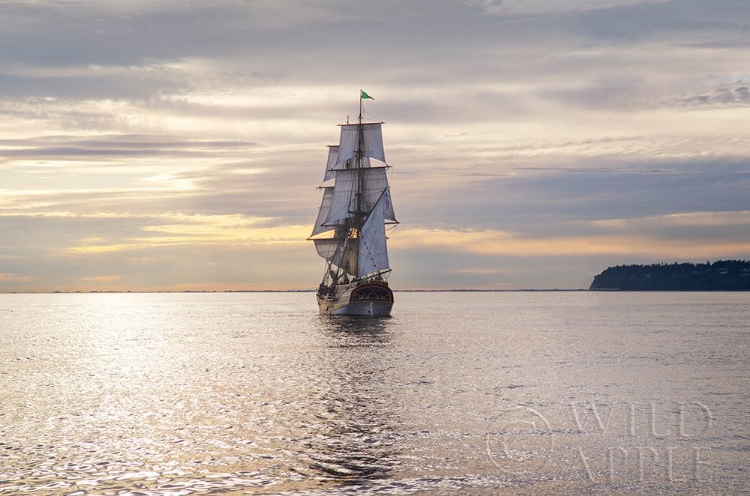 Picture of LADY WASHINGTON III