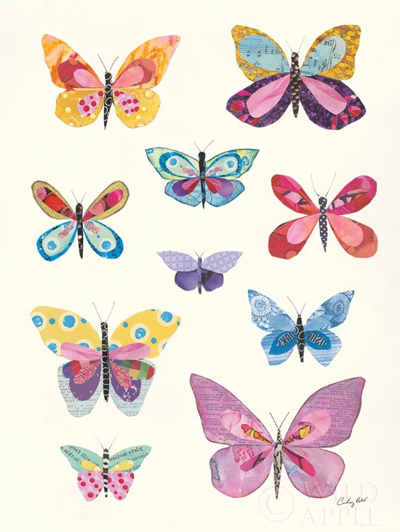 Picture of BUTTERFLY CHARTS II