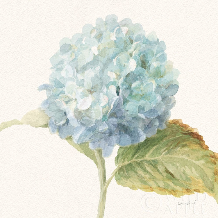 Picture of FLOURSACK FLORALS V - BLUE HYDRANGEA CROP