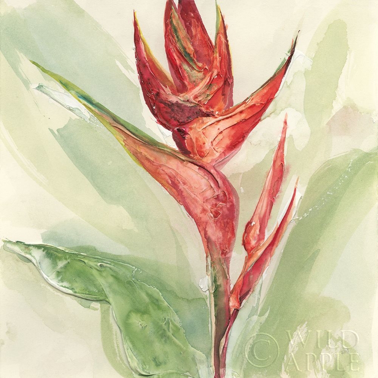 Picture of EXOTIC FLOWER IV