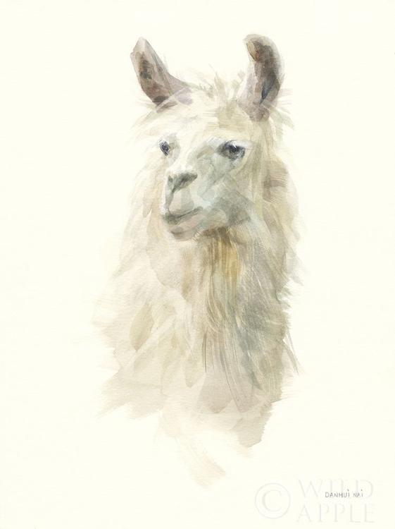 Picture of CLASSIC LLAMAS II