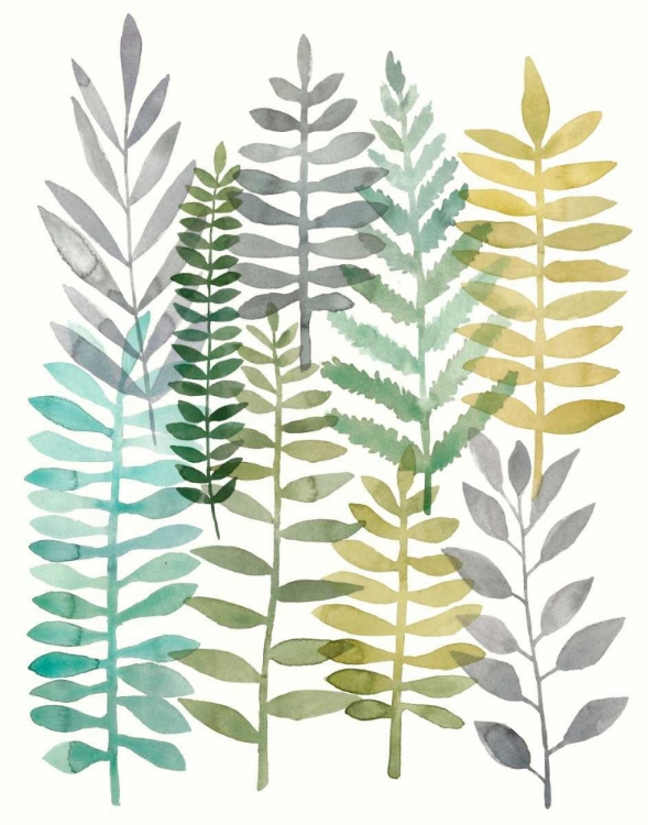 Picture of WATERCOLOR BOTANY II