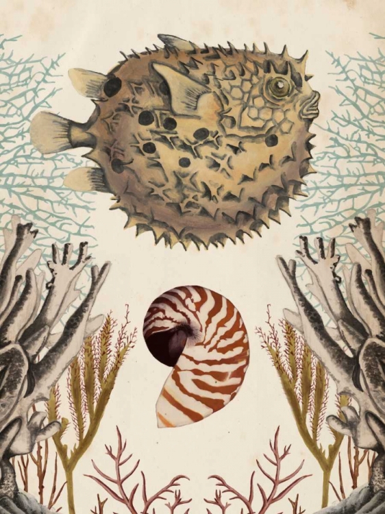 Picture of ANTIQUARIAN MENAGERIE - PUFFER FISH