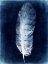 Picture of INVERTED FEATHER VI