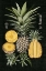 Picture of GRAPHIC PINEAPPLE BOTANICAL STUDY I