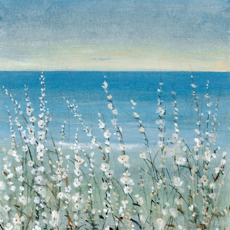 Picture of COASTLINE BLOOMS II