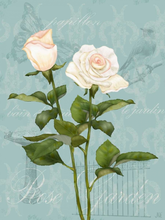 Picture of CREAM ROSE II