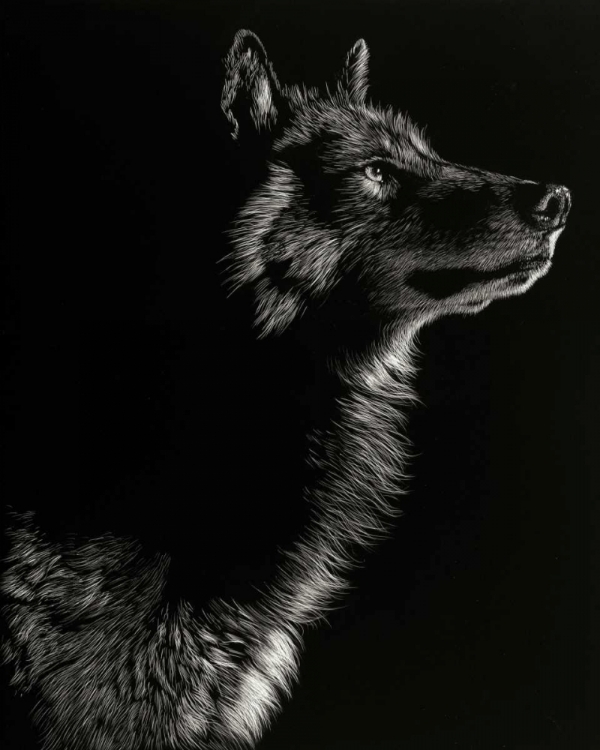 Picture of SCRATCHBOARD WOLF II