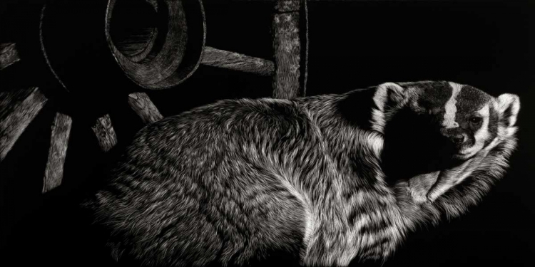 Picture of SCRATCHBOARD TENACIOUS