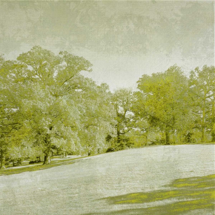 Picture of BERYL LANDSCAPE  II