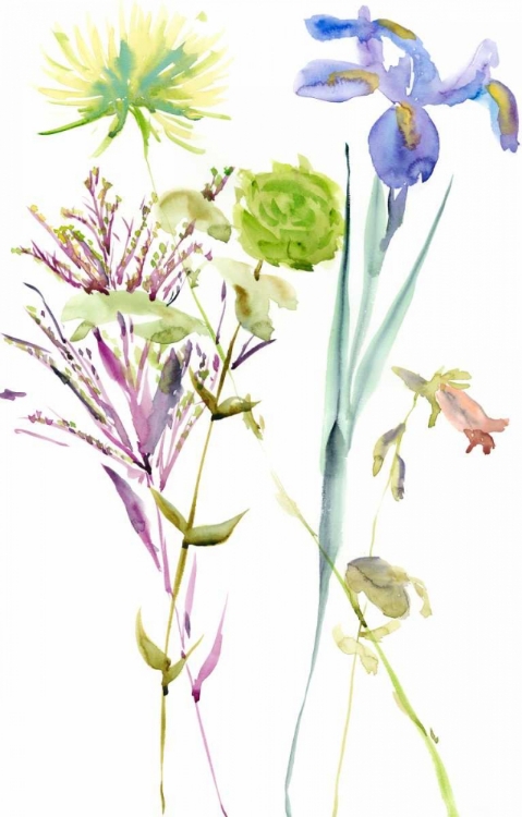 Picture of WATERCOLOR FLORAL STUDY II