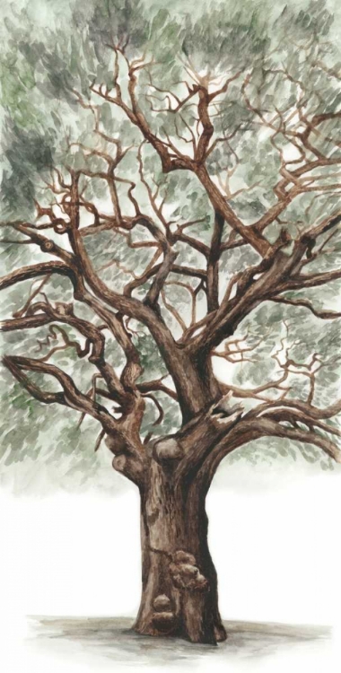 Picture of OAK TREE COMPOSITION II