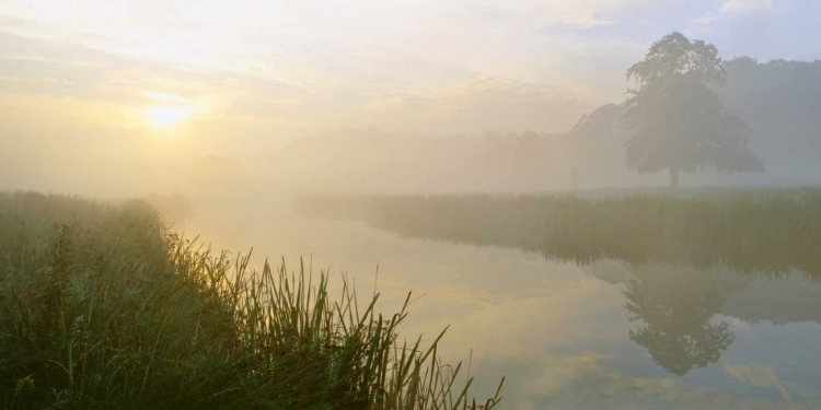 Picture of RIVER ALN DAWN