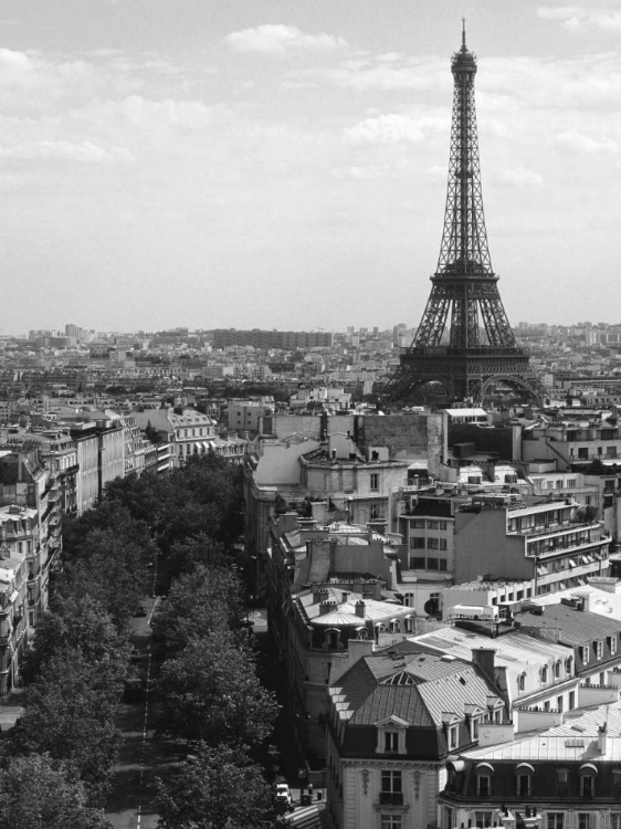 Picture of EIFFEL TOWER, PARIS