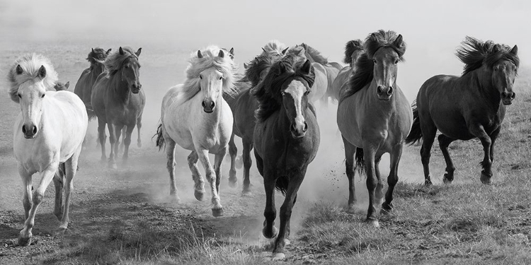 Picture of DUSTY PLAINS