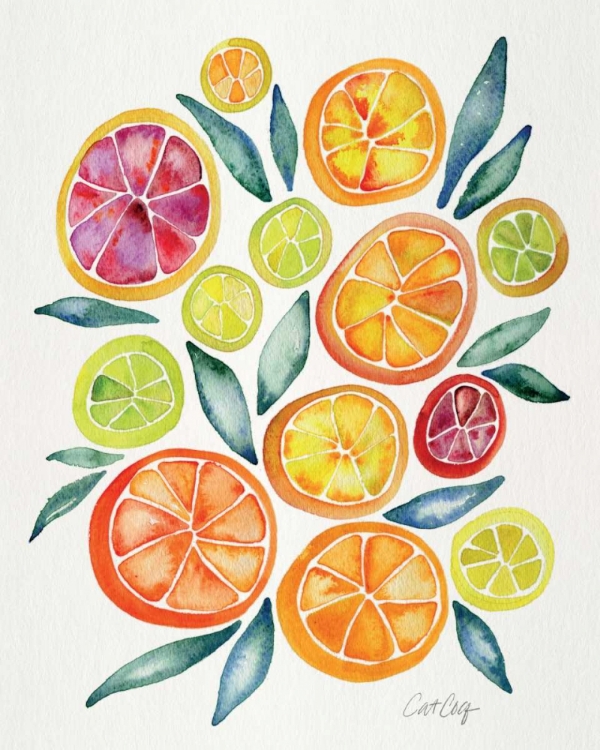 Picture of CITRUS