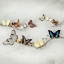 Picture of ARRAY OF BUTTERFLIES