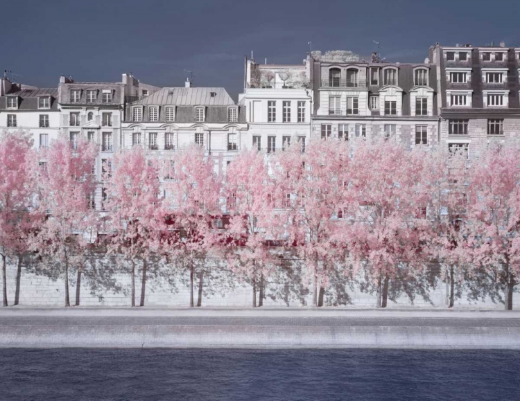 Picture of RIVER SEINE INFRARED-PARIS