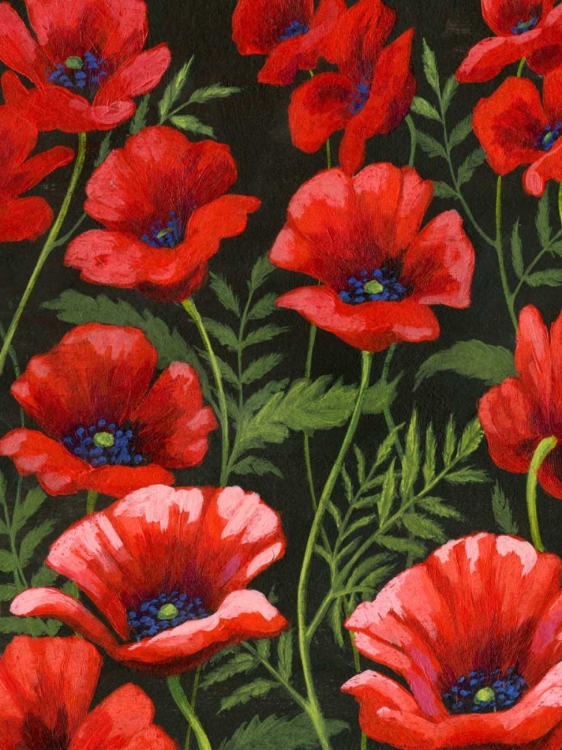 Picture of POPPIES AT MIDNIGHT I