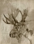 Picture of SEPIA MOOSE