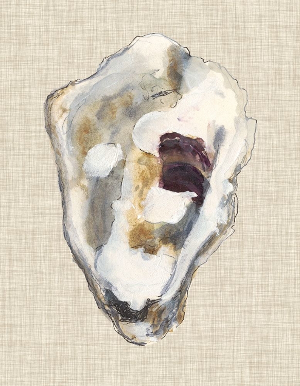 Picture of OYSTER SHELL STUDY II