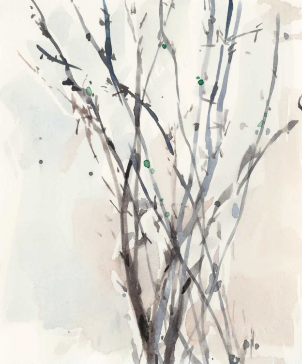 Picture of WATERCOLOR BRANCHES II