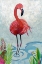 Picture of VIVID FLAMINGO II