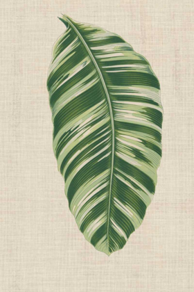 Picture of LEAVES ON LINEN VI