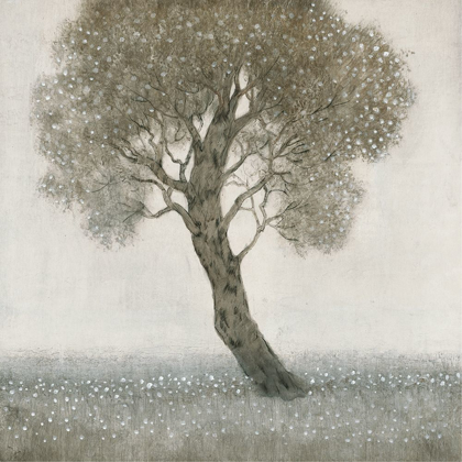 Picture of WHITE BLOSSOM TREE