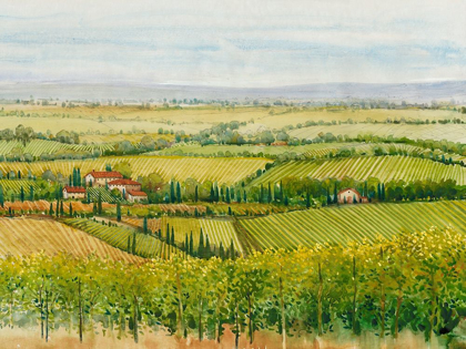Picture of WINE COUNTRY VIEW I