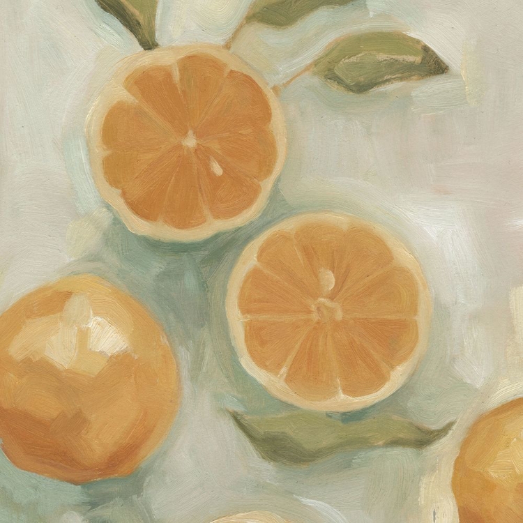 Picture of CITRUS STUDY IN OIL I