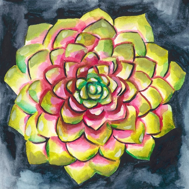 Picture of SUCCULENT ROSETTE III