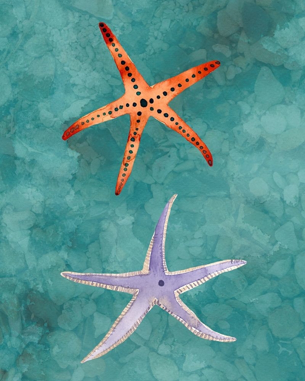 Picture of TWIN STARFISH III