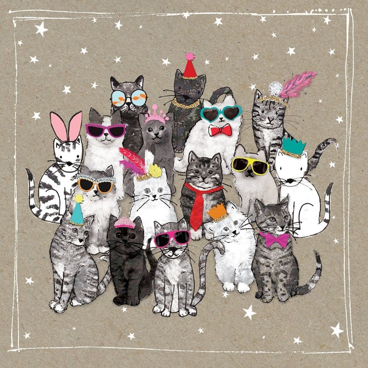 Picture of FANCYPANTS CATS VII