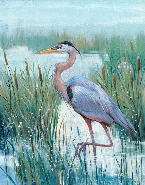 Picture of MARSH HERON II