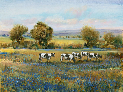 Picture of FIELD OF CATTLE I