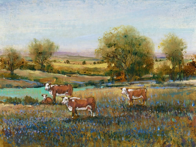 Picture of FIELD OF CATTLE II