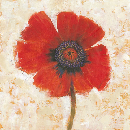 Picture of RED POPPY PORTRAIT I