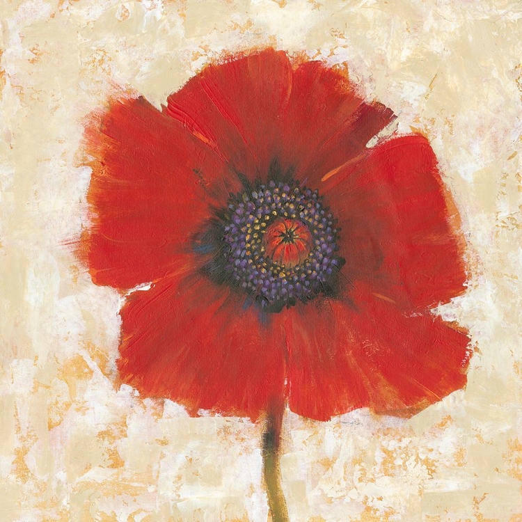 Picture of RED POPPY PORTRAIT II