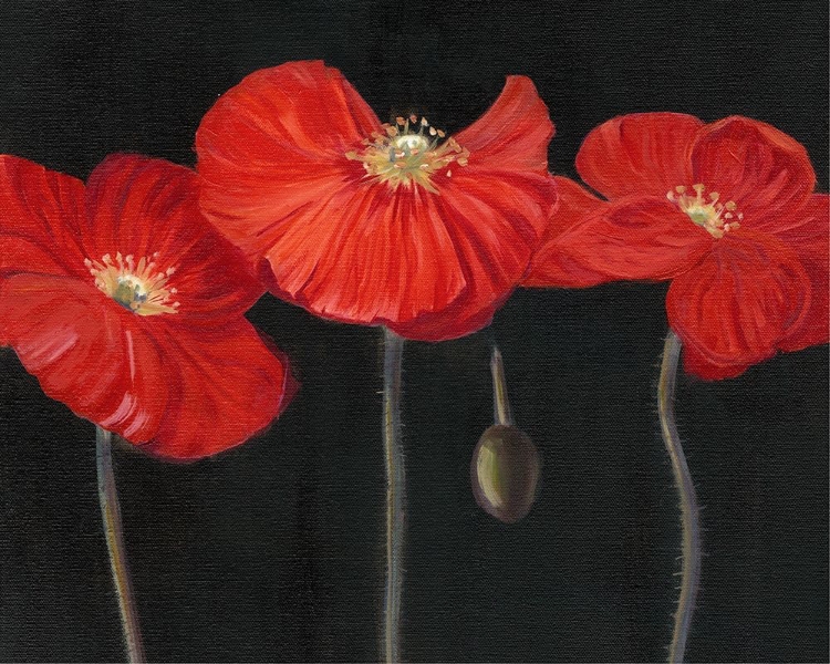 Picture of POPPY TRIO I