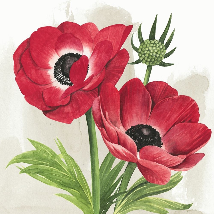 Picture of CRIMSON ANEMONES I