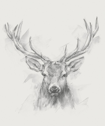 Picture of CONTEMPORARY ELK SKETCH I