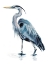 Picture of BLUE BLUE HERON II