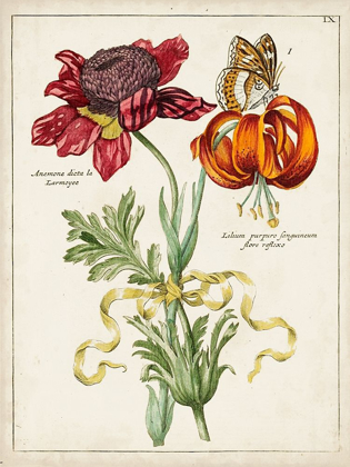 Picture of BOTANICAL BOUQUET II