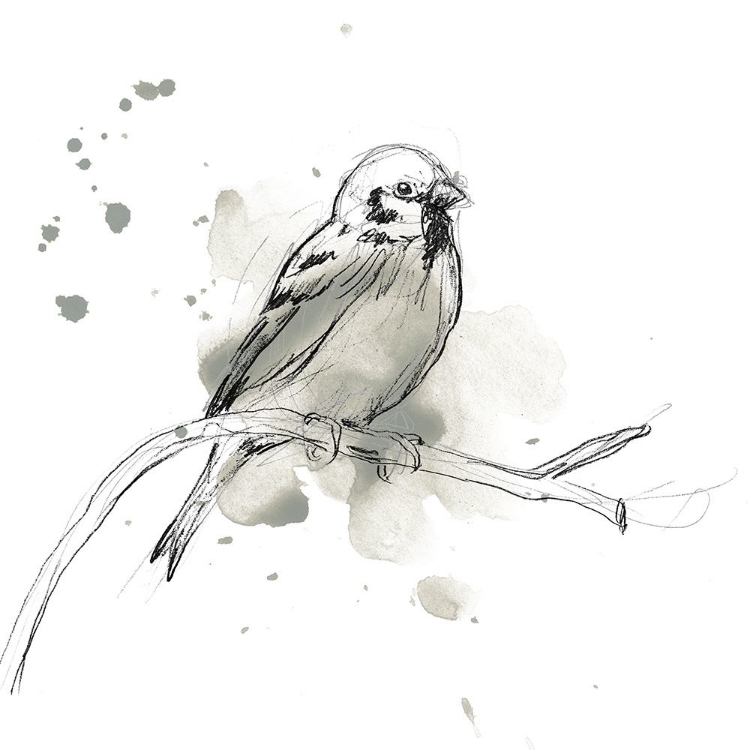 Picture of GESTURAL BIRD STUDY II