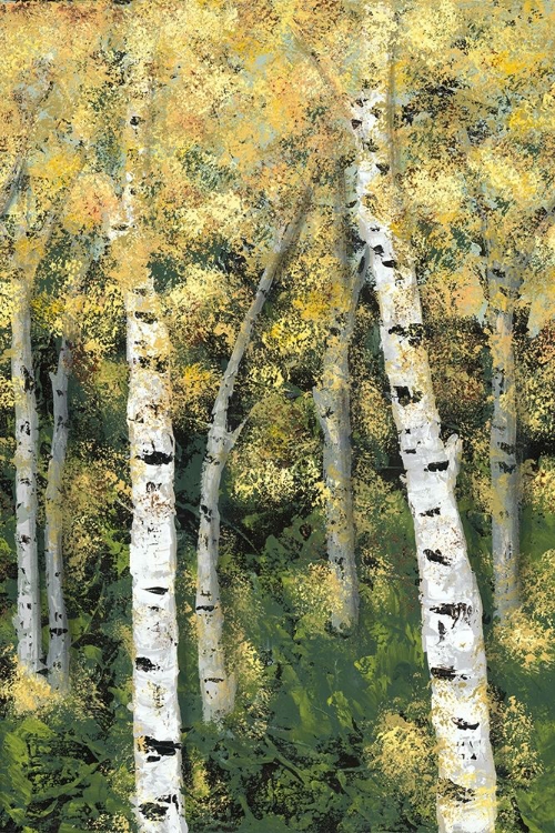 Picture of BIRCH TREELINE III