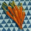 Picture of GEO VEGGIES III