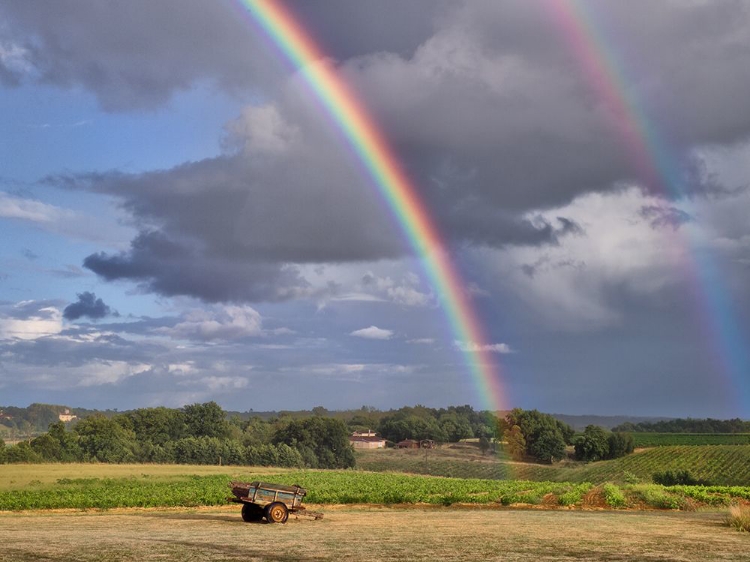 Picture of PASTORAL COUNTRYSIDE VII